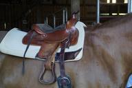 saddle-western-saddle-saddled-horse-806828.jpg