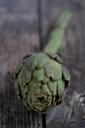 artichoke-green-food-vegetable-1123739.jpg