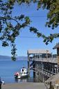 dock-sailing-patagonia-730580.jpg