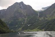 norway-fjord-pigeon-panorama-954901.jpg