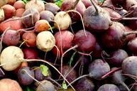 vegetables-farmer-s-market-beets-1635168.jpg