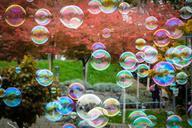 soap-bubbles-blow-balls-fly-float-1021662.jpg