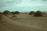 Sand dunes on Nunivak island.jpg