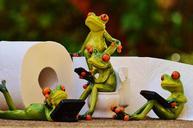 frog-toilet-loo-session-funny-1037257.jpg