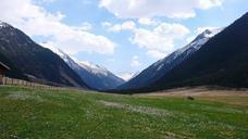 alpine-landscape-mountains-meadow-620509.jpg