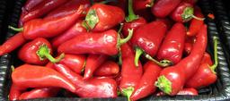 hot-red-peppers-peppers-chili-spicy-389600.jpg