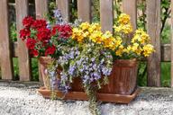 flowers-balcony-flowerpot-nature-1322090.jpg