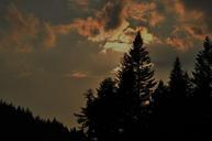 sky-clouds-sunset-tree-forest-456163.jpg