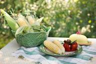 corn-corn-on-cob-food-yellow-929235.jpg