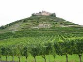 vineyards-ruin-castle-wine-vines-73587.jpg