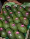 hass-avocado-avocados-fruit-food-1054726.jpg