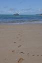 footprints-water-sand-sea-843304.jpg