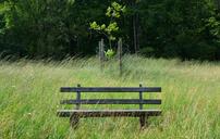 park-bench-grass-sit-wind-bench-1624942.jpg