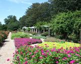 flower-beds-garden-path-shade-arbor-53965.jpg