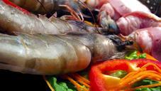 shrimp-seafood-gourmet-restaurant-395796.jpg