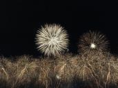 fireworks-explosion-new-year-eve-614180.jpg