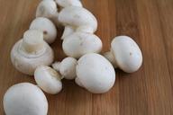 mushroom-mushrooms-white-mushroom-623141.jpg