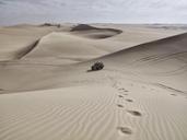 sand-dunes-desert-sahara-jeep-336699.jpg