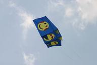 aviator-float-kites-kite-flying-559484.jpg