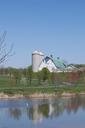 farm-dairy-pond-reflection-country-555073.jpg