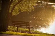 bench-park-pond-lake-water-801727.jpg