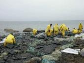 Workers clean up after oil spill on coast.jpg