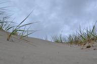 sand-dunes-beach-sand-nature-364219.jpg