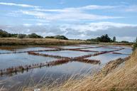 marsh-saline-water-island-of-oleron-908648.jpg