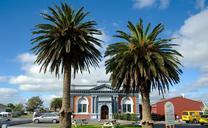 new-zealand-sky-clouds-palms-82634.jpg