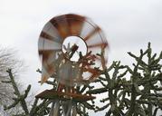 windmill-cactus-motion-spin-623215.jpg