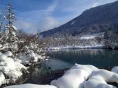 lake-zelenci-slovenia-landscape-309365.jpg