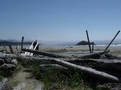 long-beach-driftwood-sand-ocean-608491.jpg