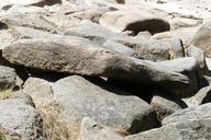 stones-nature-riverbed-landscape-1396401.jpg