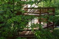 Log-cabin-and-trees-in-Canaan-Valley-Resort-State-Park.jpg