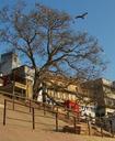 steps-river-side-ganges-ganga-bank-314190.jpg