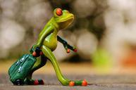 frog-farewell-travel-luggage-1033313.jpg