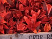 market-wild-lilies-red-sale-stand-194352.jpg