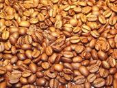 coffee-beans-coffee-beans-golden-84624.jpg