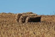 straw-bales-straw-stubble-field-1617557.jpg