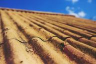 asbestic-tile-roof-old-vintage-791786.jpg