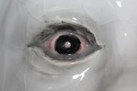 ceramics-eye-eyeball-look-see-210510.jpg