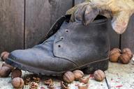 shoe-walnuts-wood-glove-952437.jpg