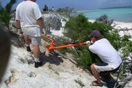 Workers use a special metal tool for uprooting trees and undergrowth.jpg