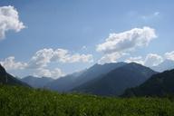 alpine-mountain-meadow-summer-285469.jpg