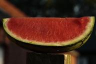 watermelon-melon-fruit-food-395821.jpg