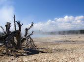 yellowstone-national-park-wyoming-193820.jpg