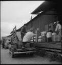 Centerville,_California._Piling_baggage_of_evacuees_from_this_Alameda_County_farming_community_on_t_._._._-_NARA_-_537545.jpg