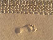 footprint-footprints-sand-beach-347816.jpg