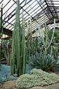 Silver Garden - Longwood Gardens - DSC01106.JPG