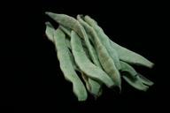 beans-green-beans-vegetable-521399.jpg